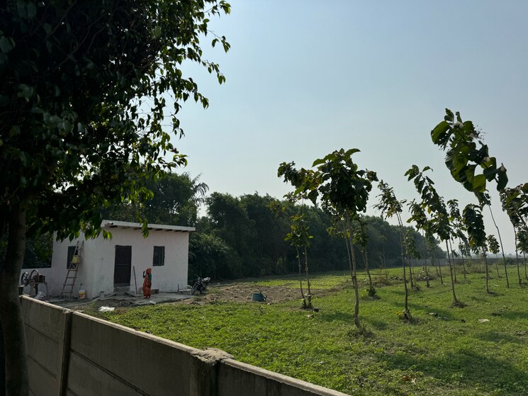 undefined, srs-retreat-farms  1976 Sq.Yd. Plot In Manjhawali Faridabad 7829281