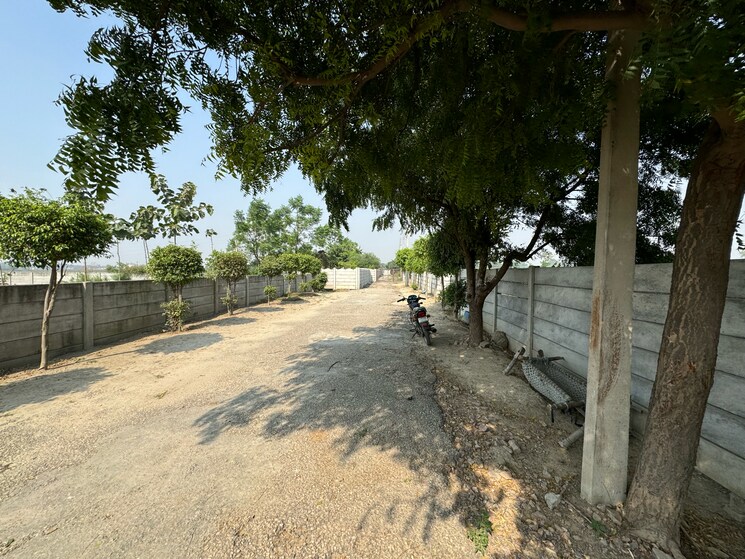 undefined, srs-retreat-farms  1976 Sq.Yd. Plot In Manjhawali Faridabad 7829281