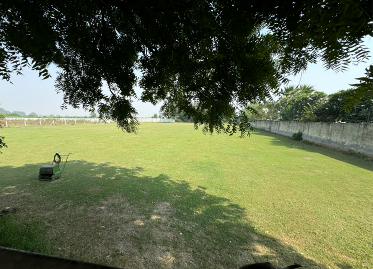 Garden, srs-retreat-farms  1976 Sq.Yd. Plot In Manjhawali Faridabad 7829281