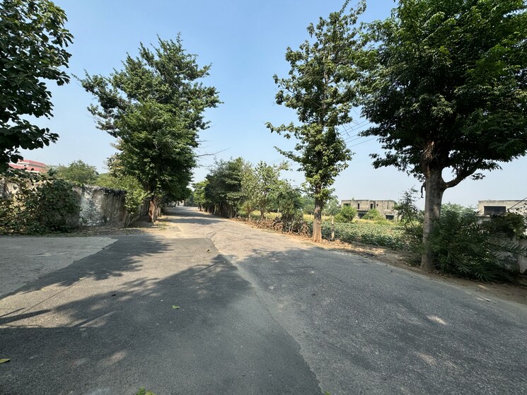 undefined, srs-retreat-farms  1976 Sq.Yd. Plot In Manjhawali Faridabad 7829281