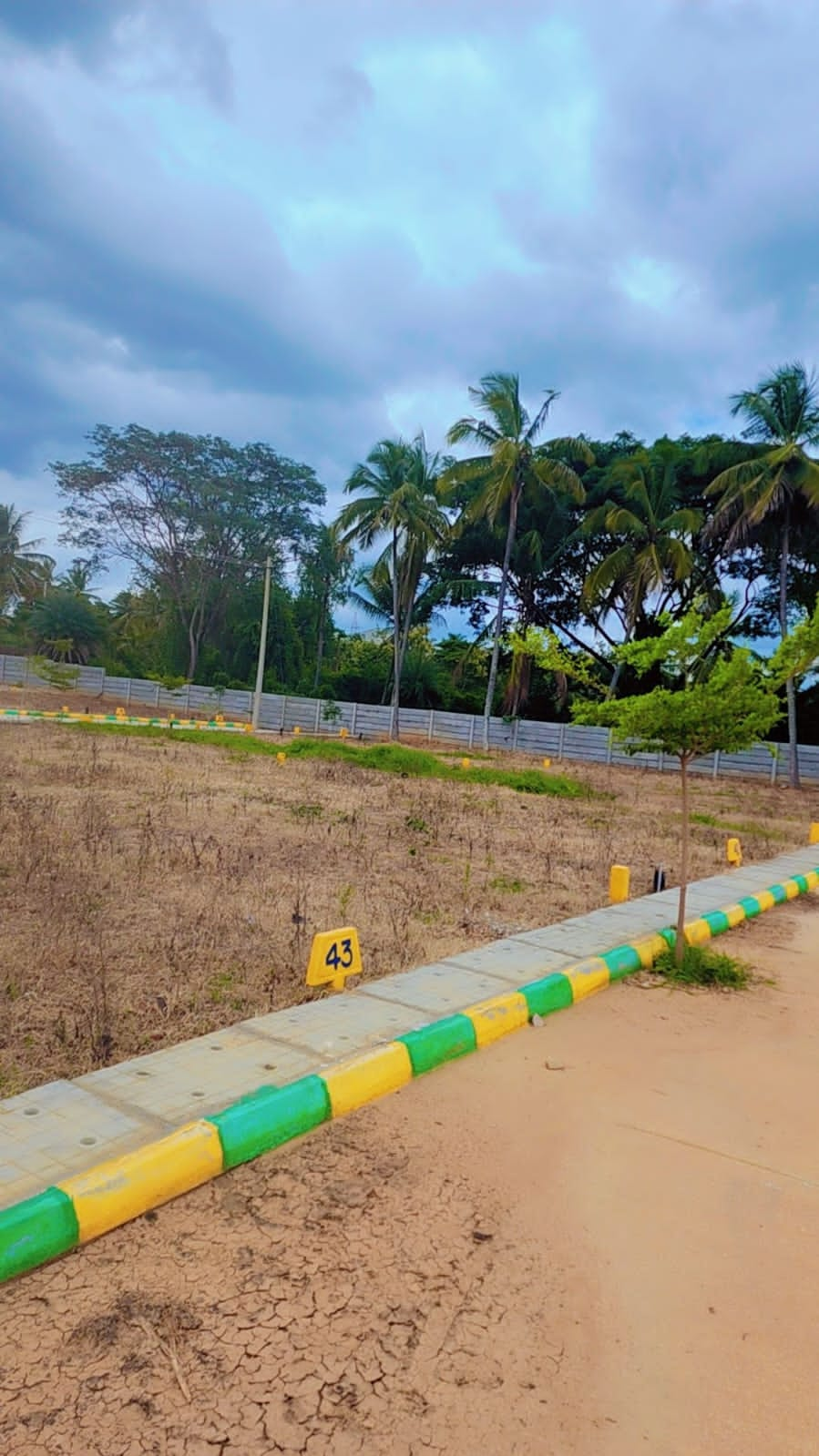 Plot For Resale in Kothavalasa Vizianagaram  7829415