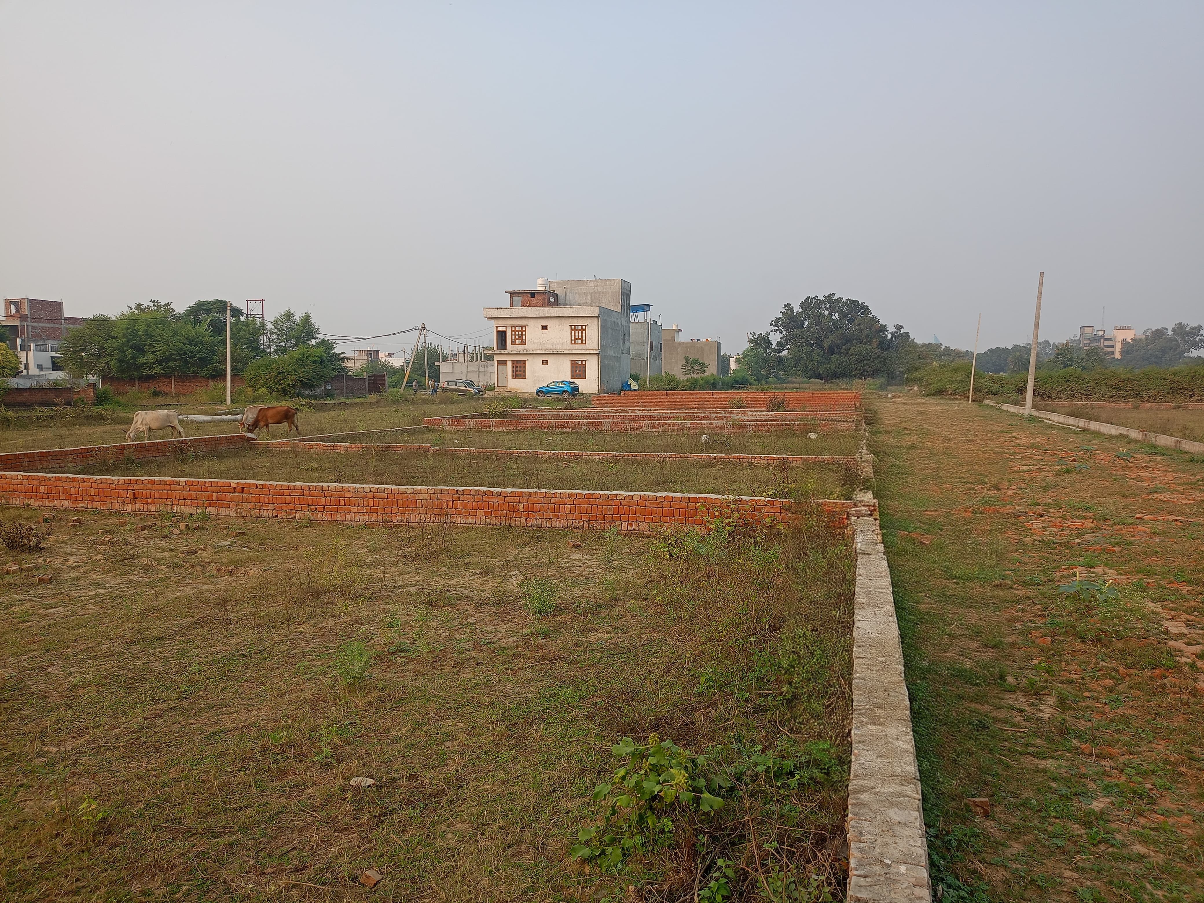 Plot For Resale in Gomti Nagar Lucknow  7829640