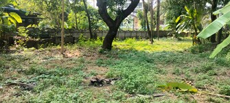 Plot For Resale in Punkunnam Thrissur  7830360