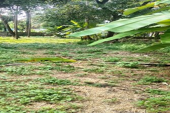 Plot For Resale in Punkunnam Thrissur  7830360