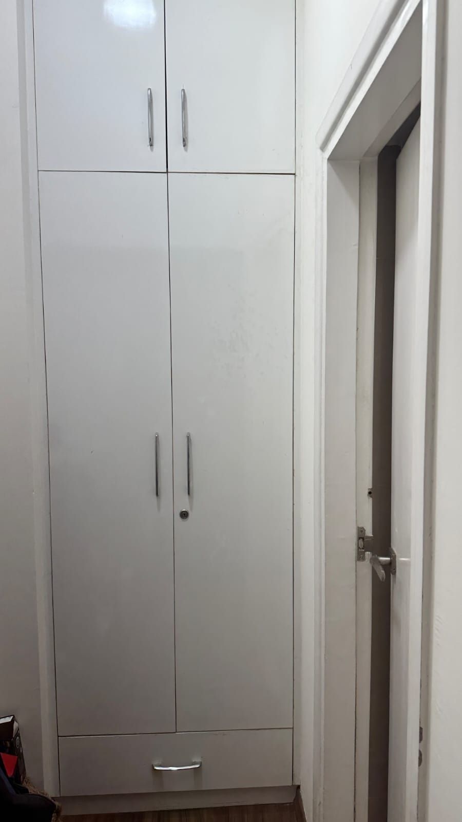 3 BHK Apartment For Sale in Tulip White