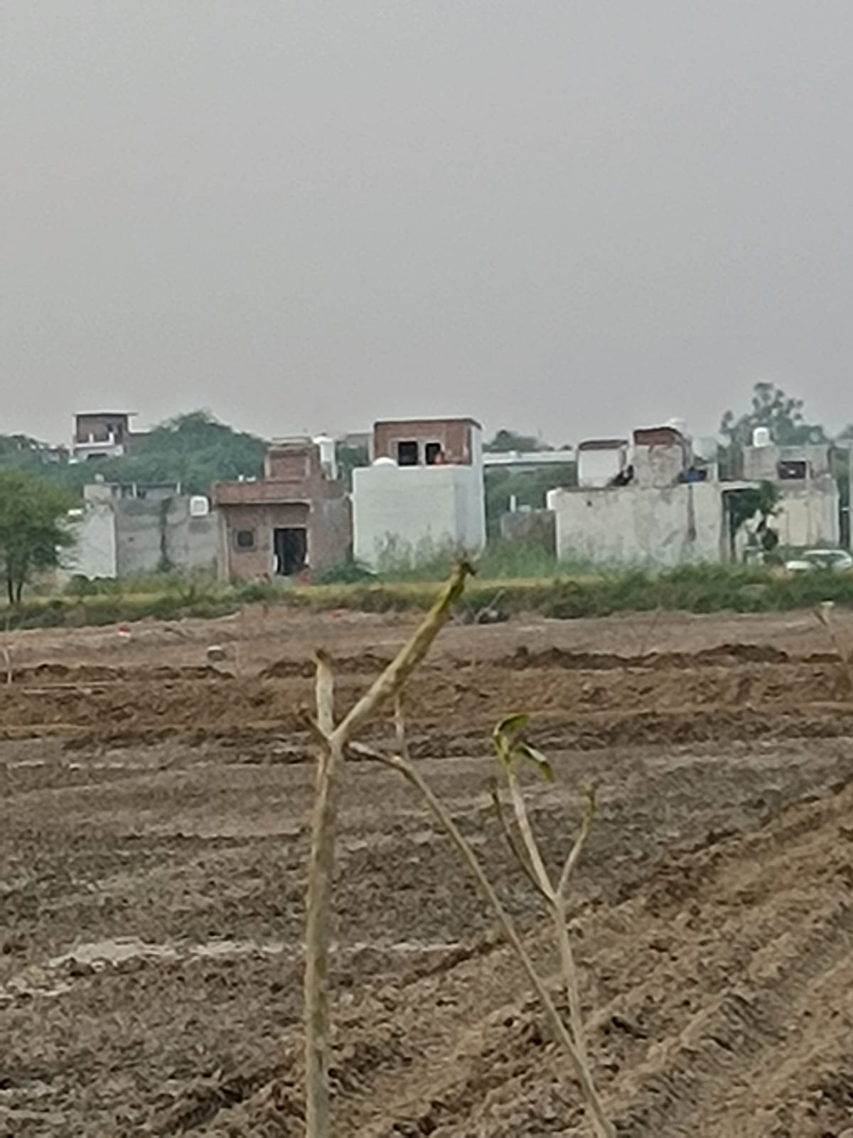 Plot For Resale in Silani Chowk Gurgaon  7830498