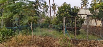 Plot For Resale in Morampudi Junction Rajahmundry  7816419