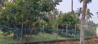 Plot For Resale in Morampudi Junction Rajahmundry  7816419