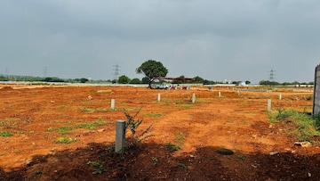 Plot Area in  Plot at Shadnagar – for Sale