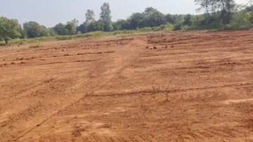 Plot Area in  Plot at Peddapur – for Sale