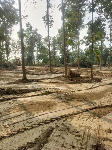 Plot Area in  Plot at Khujauli – for Sale
