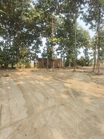 Plot For Resale in Khujauli Lucknow  7831778