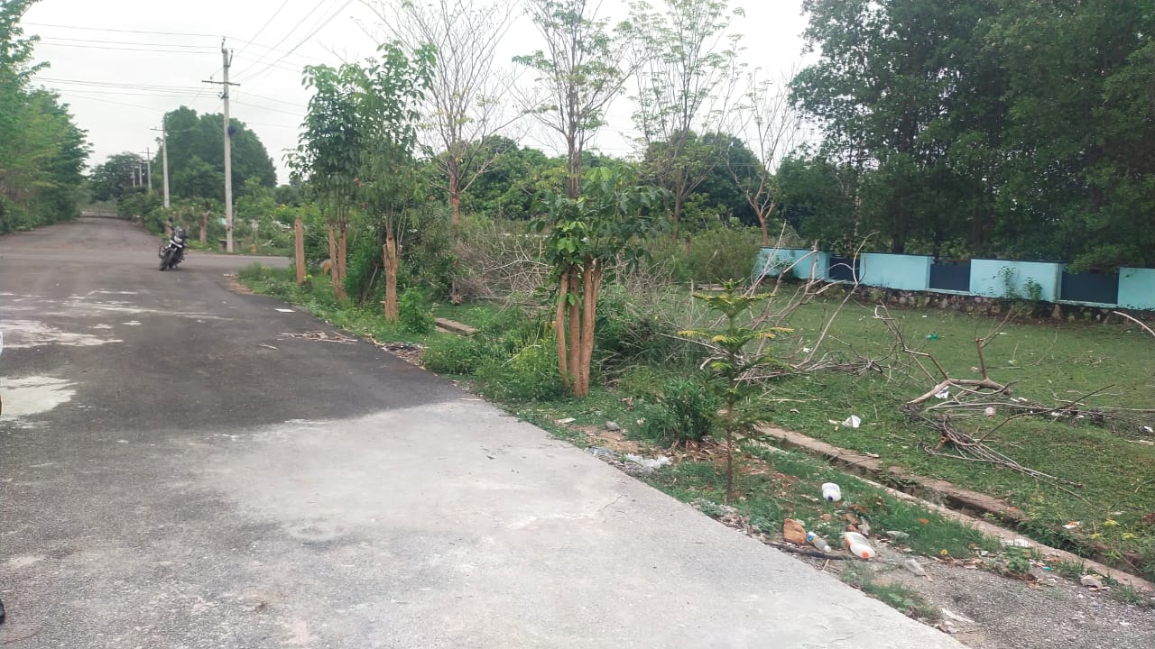 Plot For Resale in Wagholi Pune  7831754