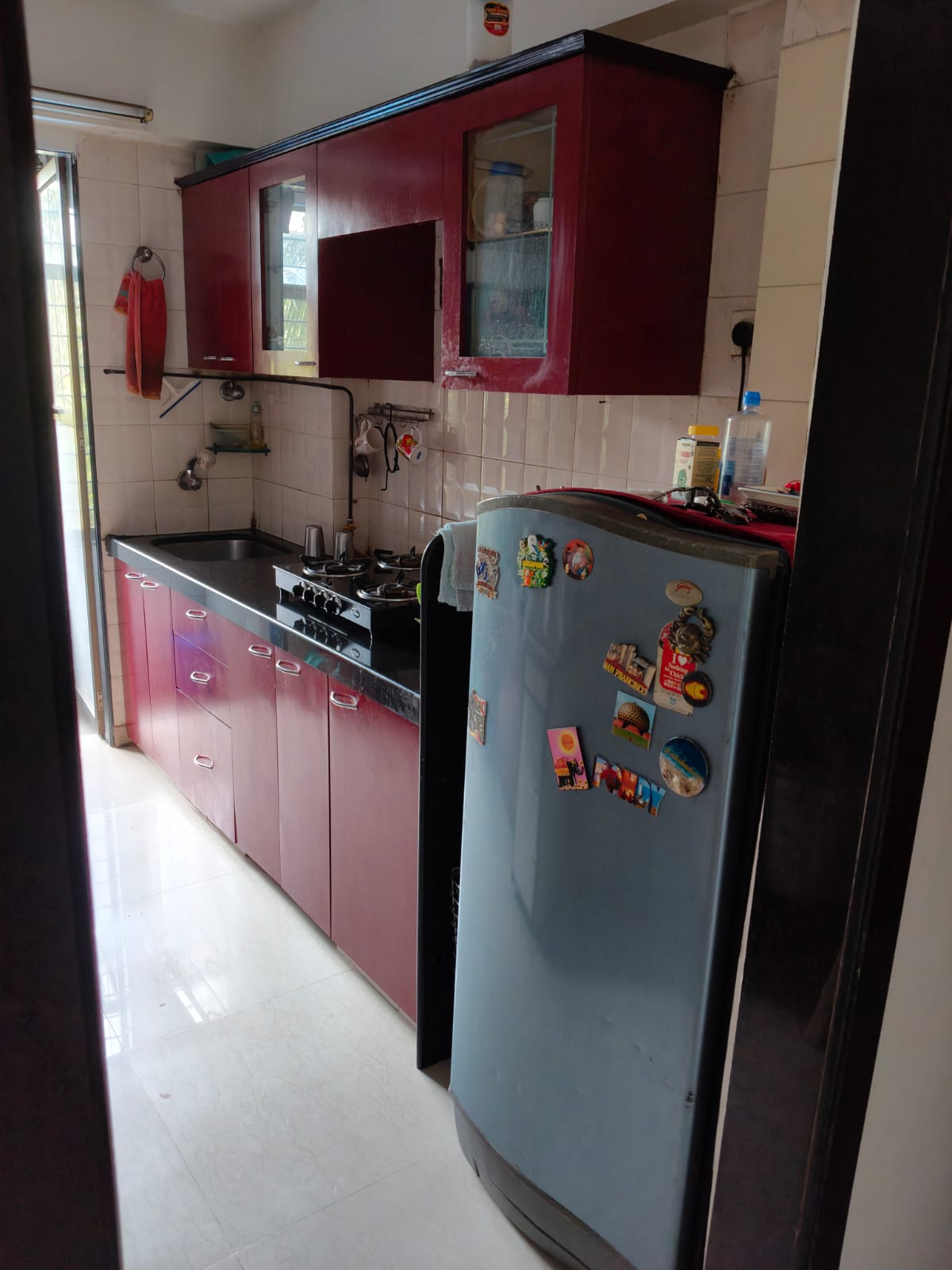 1 BHK Apartment For Rent in Malhar Lokpuram CHS Vasant Vihar Thane  7831871