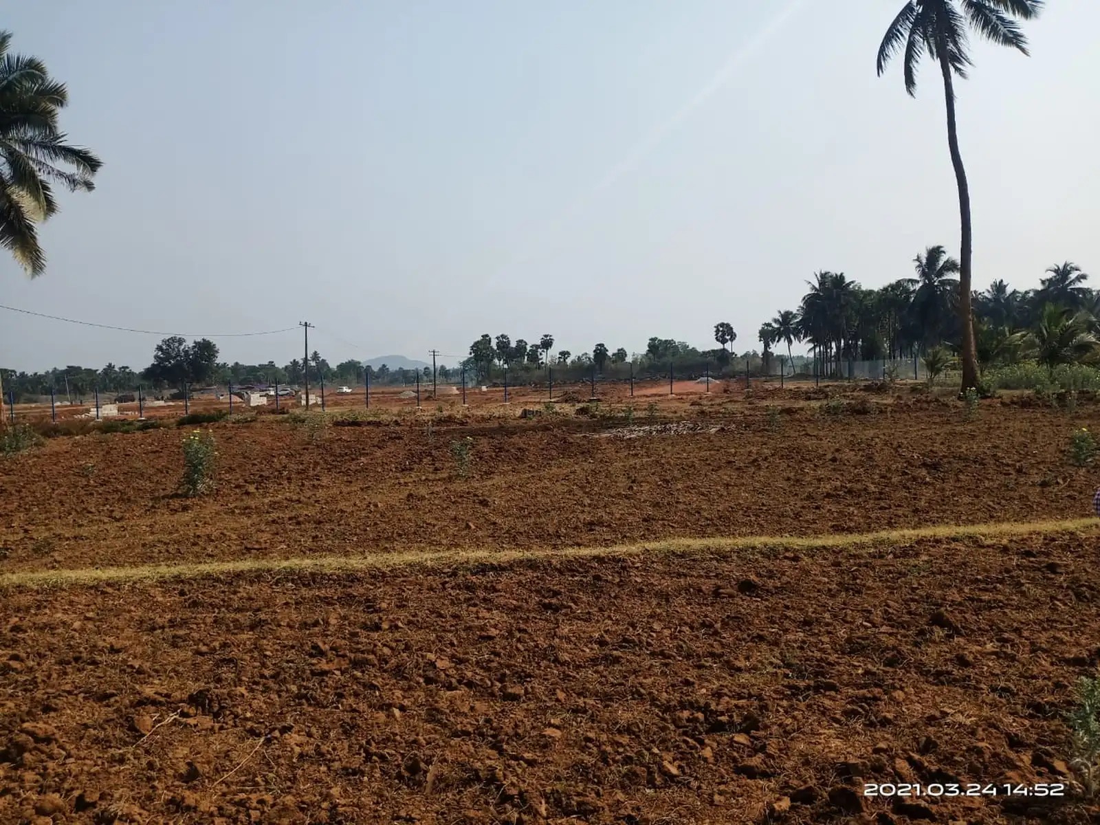 Plot For Resale in Ayyannapeta Vizianagaram  7832555