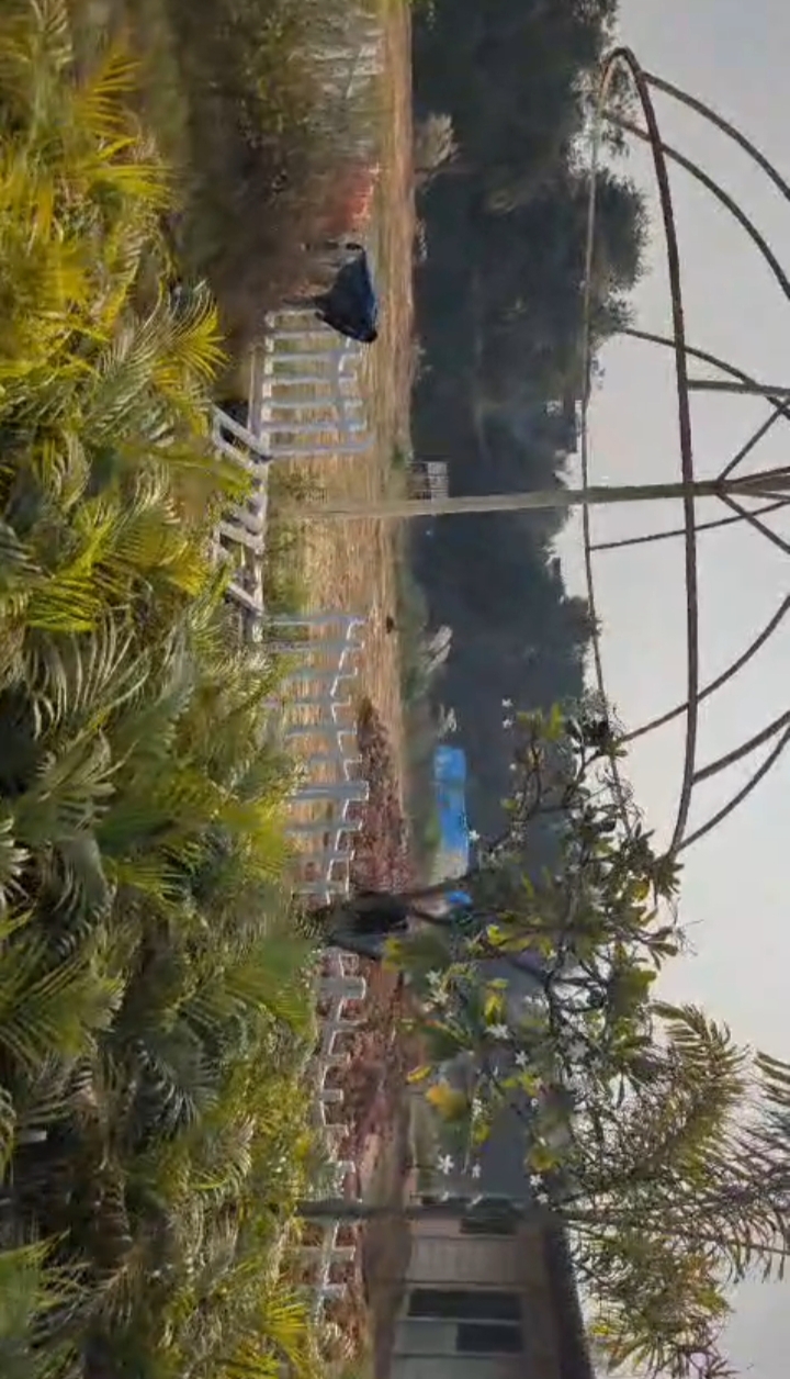 Plot For Sale in Western City 