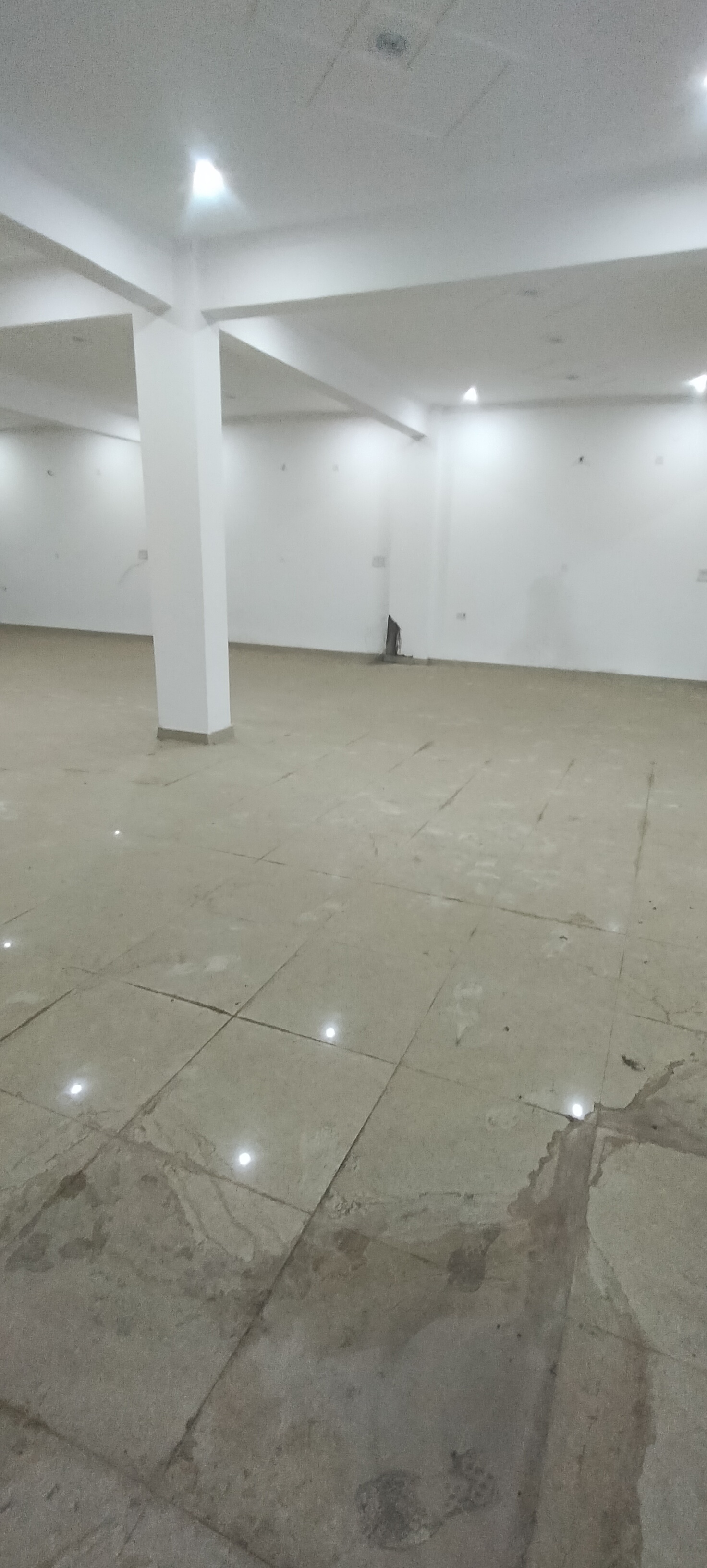 Commercial Showroom 2550 Sq.Ft. For Rent in Chinhat Lucknow  7833030