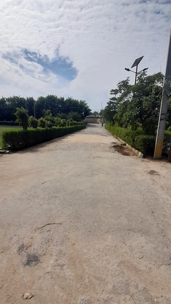 Plot For Resale in Jewar Greater Noida  7833213