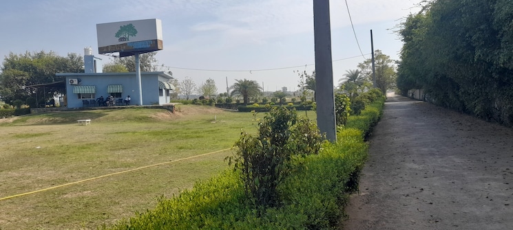 Garden, jewar  330 Sq.Yd. Plot In Jewar Greater Noida 7833213