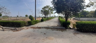 Plot For Resale in Jewar Greater Noida  7833213