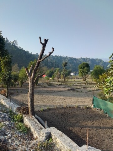 Plot Area in  Plot at Sahastradhara Road – for Sale