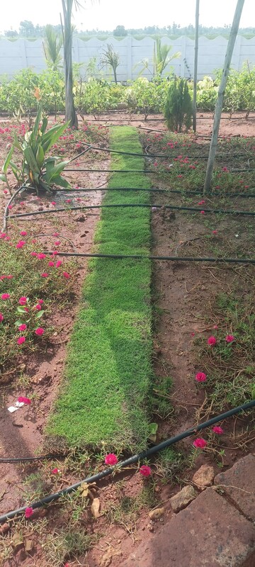  Plot – Garden View at Sri Bhumi Eeshaanya, Kankipadu - for Sale