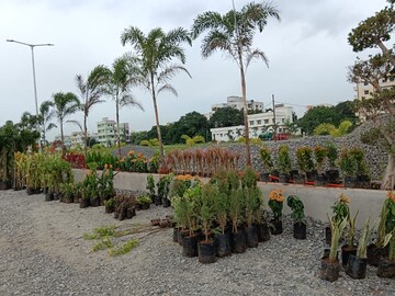  Plot – Exterior View View at SSP Sree City Legend, Kankipadu - for Sale