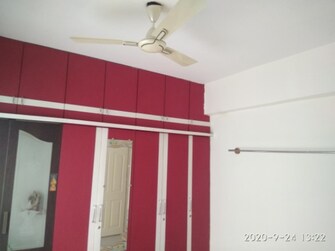 3 BHK Apartment For Rent in Sri Sai Acropolis Hosur Road Bangalore  7833777