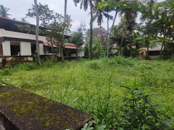 Plot For Resale in Muttada Thiruvananthapuram  7834041