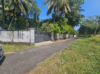 Plot For Resale in Chembukkav Thrissur  7834162