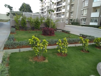 3 BHK Apartment For Resale in Shriram Summitt Electronic City Phase I Bangalore  7834044