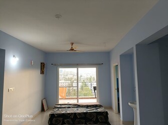 3 BHK Apartment For Rent in Surya Humming Bird Koralur Bangalore  7834461