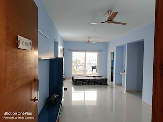 3 BHK Apartment For Rent in Surya Humming Bird Koralur Bangalore  7834461