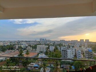 3 BHK Apartment For Rent in Surya Humming Bird Koralur Bangalore  7834461