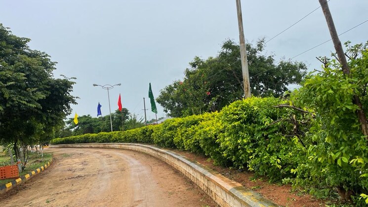 Garden, shadnagar  400 Sq.Yd. Plot In Shadnagar Hyderabad 7835377