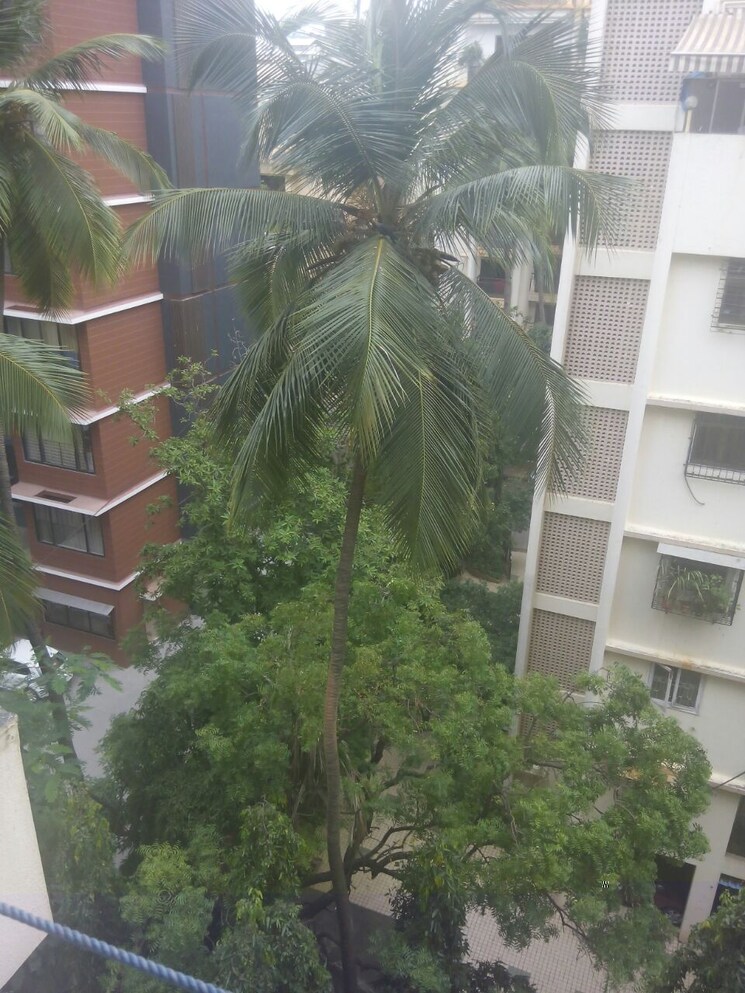 Balcony, sunil-meera-baug 3 Bedroom 1650 Sq.Ft. Apartment In Santacruz West Mumbai 7835544