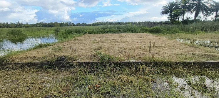 undefined, pailan  2160 Sq.Ft. Plot In Pailan Kolkata 7836043