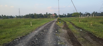 Plot Area in  Plot at Pailan – for Sale
