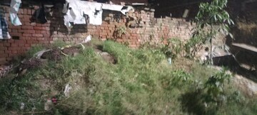 Plot Area in  Plot at Prem Vatika Sadullapur, Sadullapur – for Sale