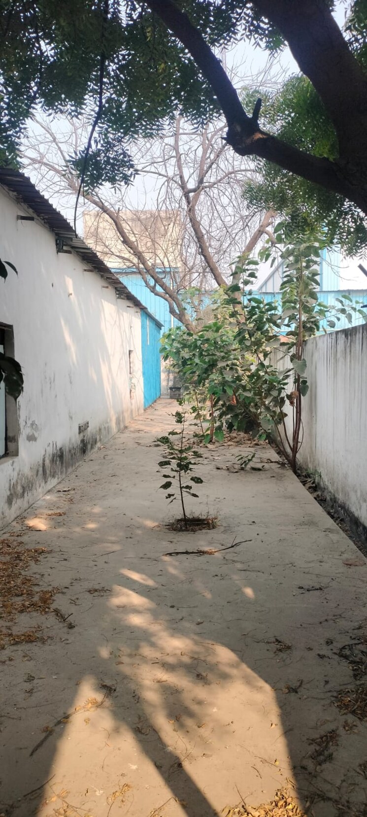 Exterior View, prem-vatika-sadullapur  120 Sq.Yd. Plot In Sadullapur Greater Noida 7836959