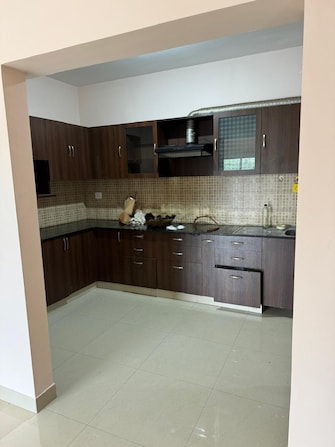 3 BHK Apartment For Rent in Nagarjuna Aster Park Yelahanka New Town Bangalore  7837152