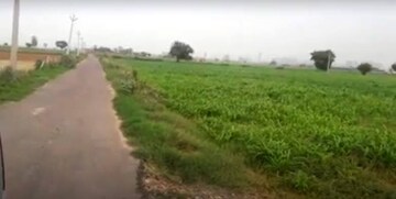 Plot Area in  Plot at Tikri – for Sale