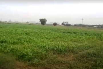 Plot Area in  Plot at Tikri – for Sale