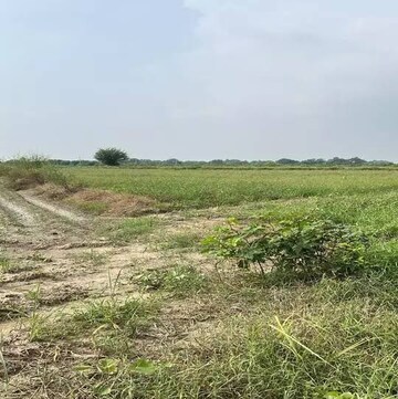 Plot Area in  Plot at Tikri – for Sale