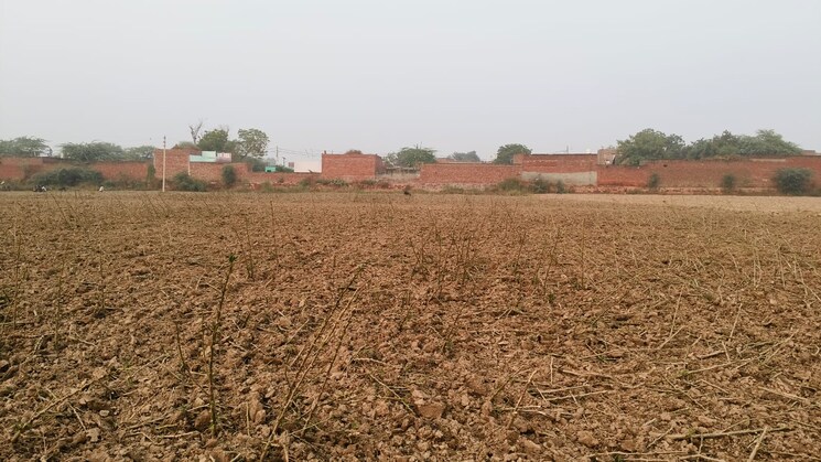undefined, laramda  100 Sq.Yd. Plot In Laramda Agra 7838108