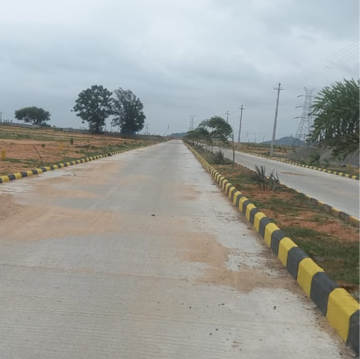 Plot Area in  Plot at Fortune 18, Amangal – for Sale