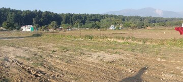 Plot Area in  Plot at Bhauwala – for Sale
