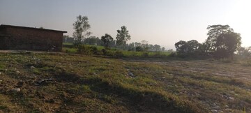 Plot Area in  Plot at Bhauwala – for Sale