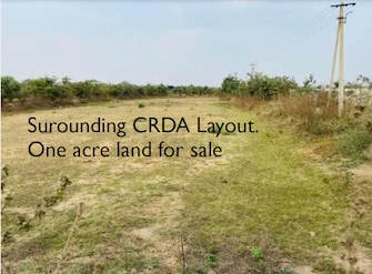 Plot For Resale in Amaravathi Guntur  7838996