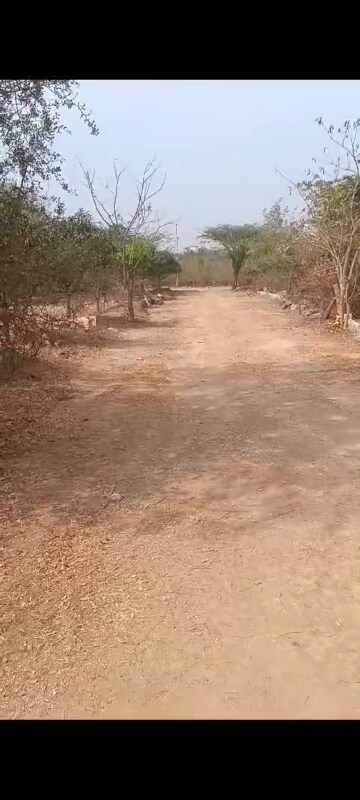 Plot Area in  Land at Moinabad – for Sale